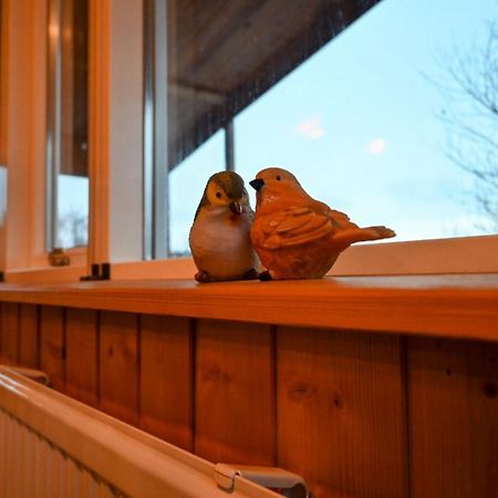 Thingvellir Cabin/Chalet Selfoss Exterior foto